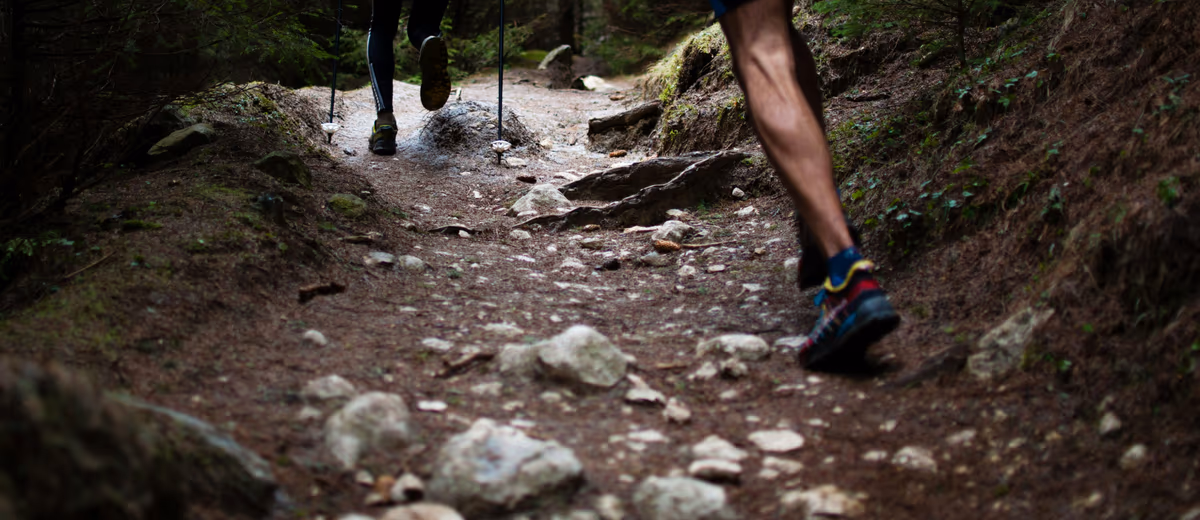 Two trail runners with poles on a steep climb through woodland.